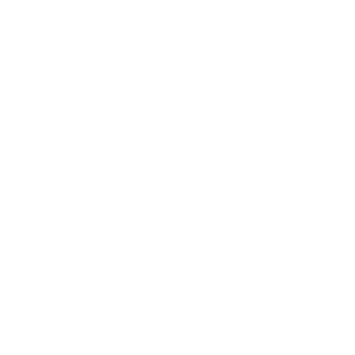 bios icon